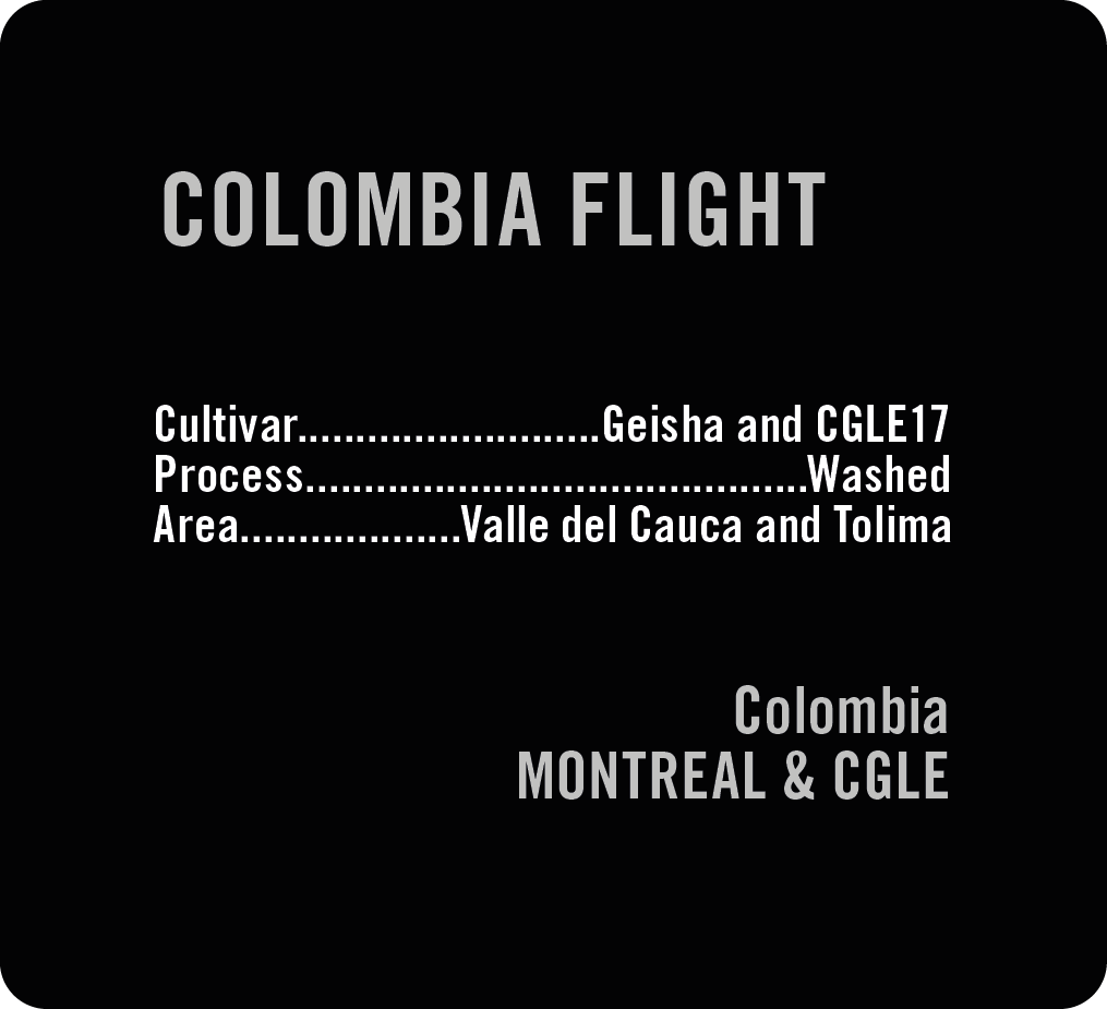 Colombia Flight