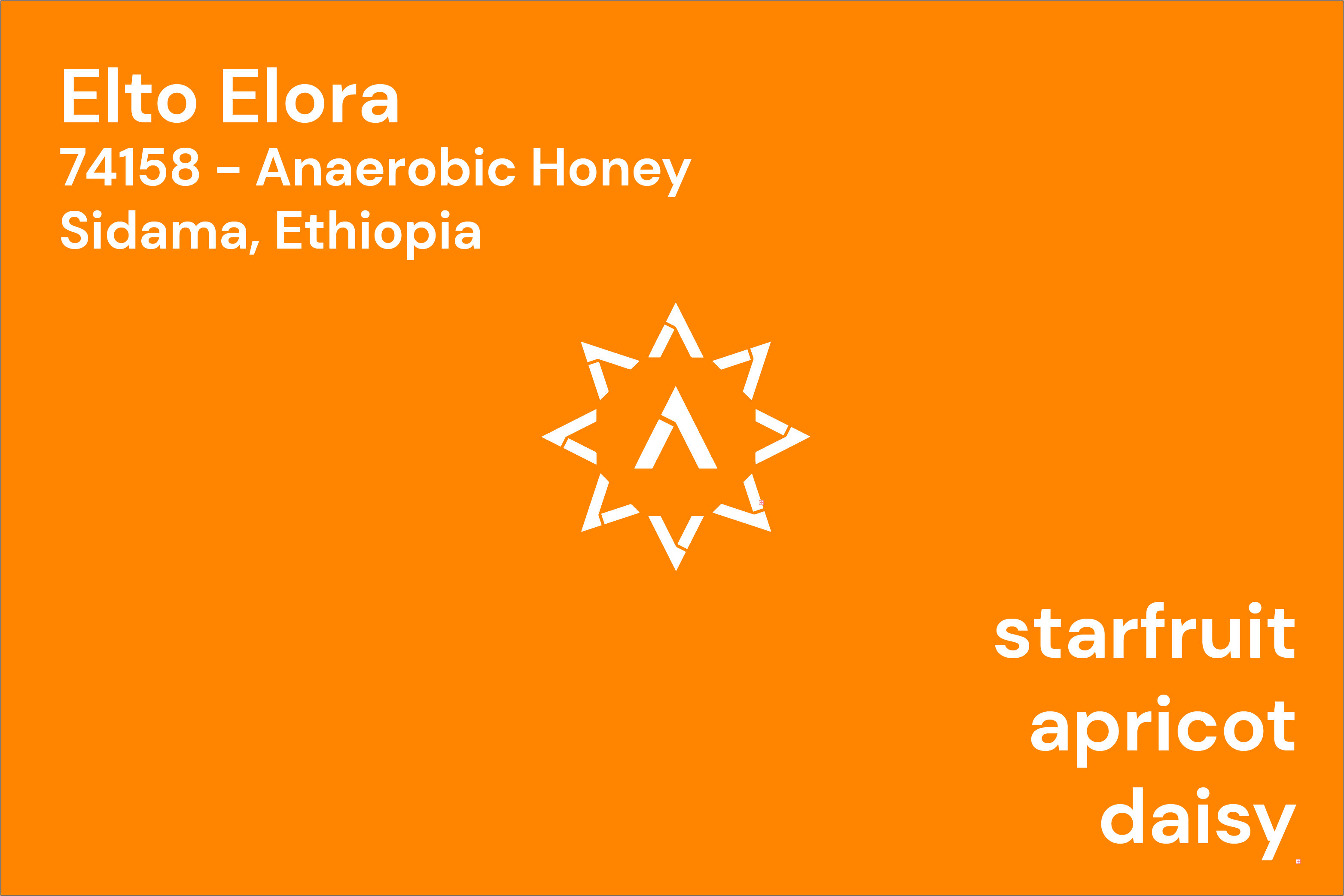 Elto Elora