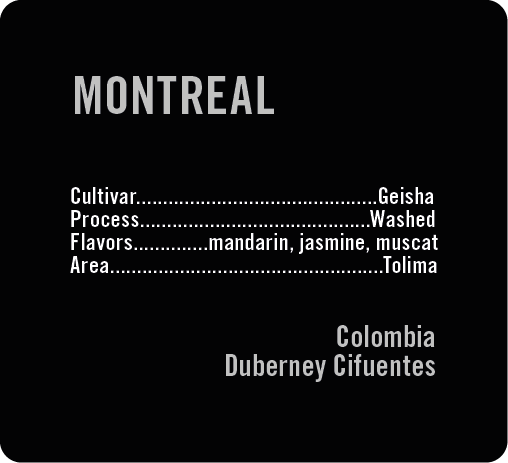 Motreal Duberney Cifuentes Geisha