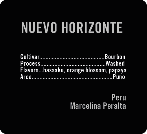 Nuevo Horizonte