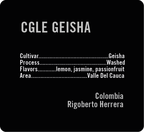 CGLE Geisha