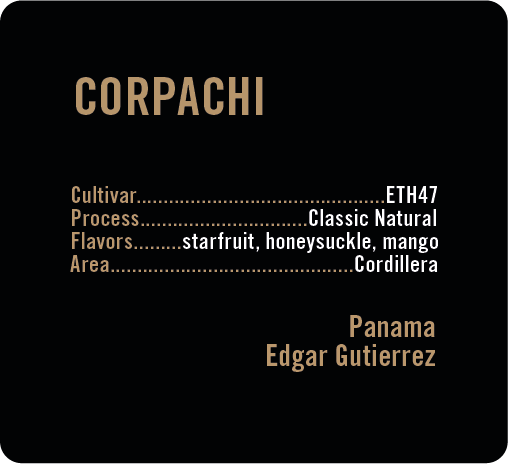 Corpachi