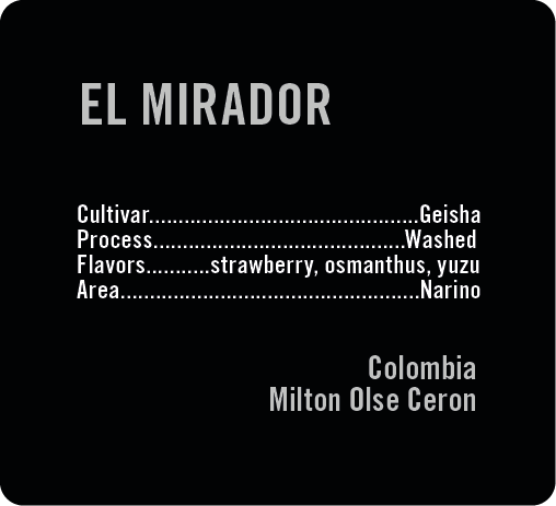 El Mirador