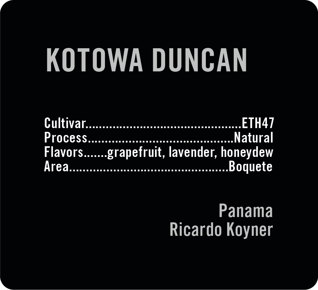 Kotowa Duncan ETH47