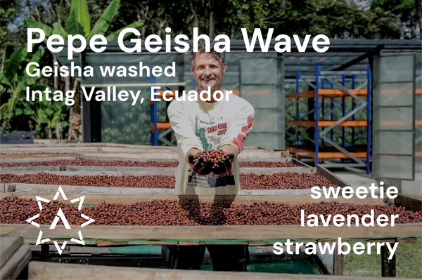 Pepe Jijon Geisha Wave