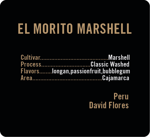 El Morito Marshell