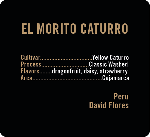 El Morito Yellow Caturro