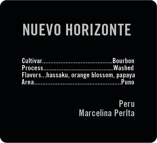 Nuevo Horizonte