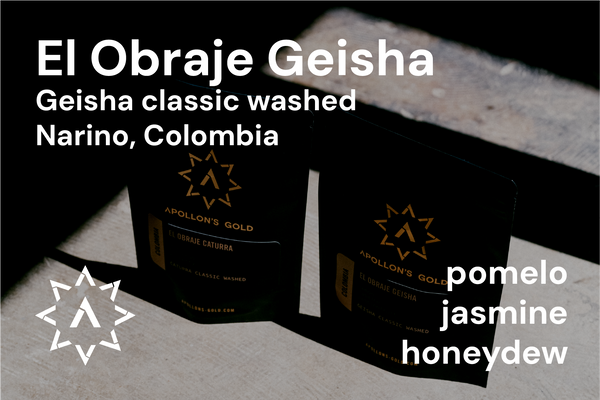 El Obraje Geisha