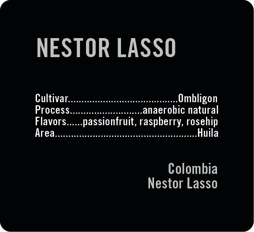 Nestor Lasso