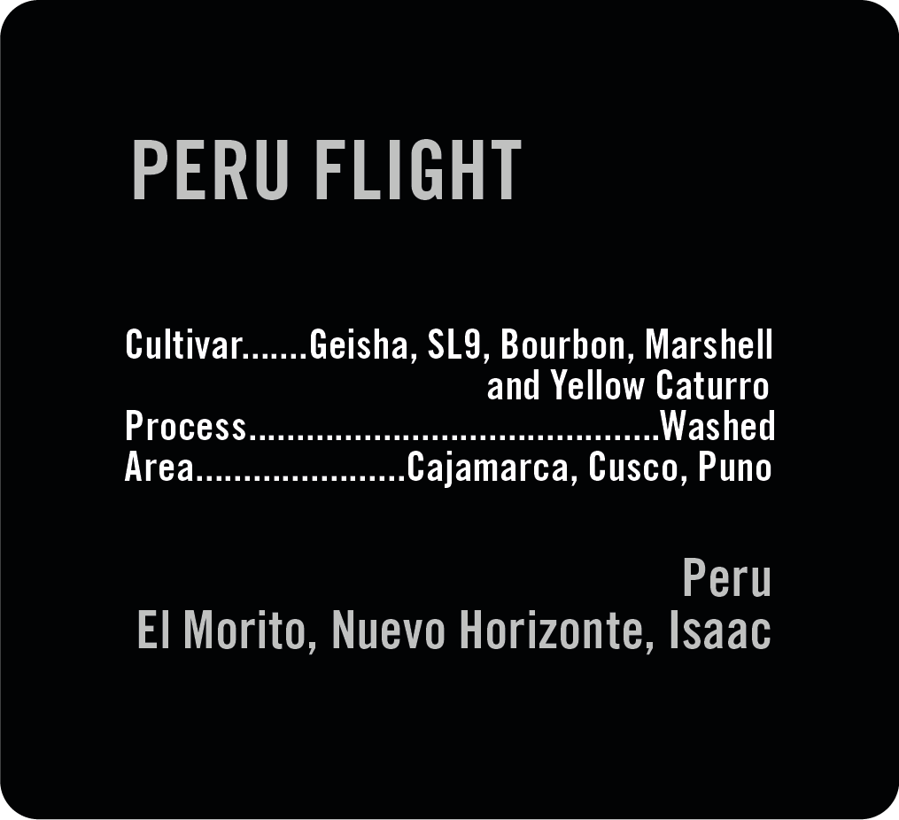 Peru Flight (Available until Sept 7th)