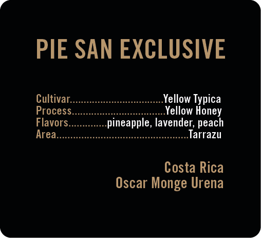 Pie San Exclusive lot