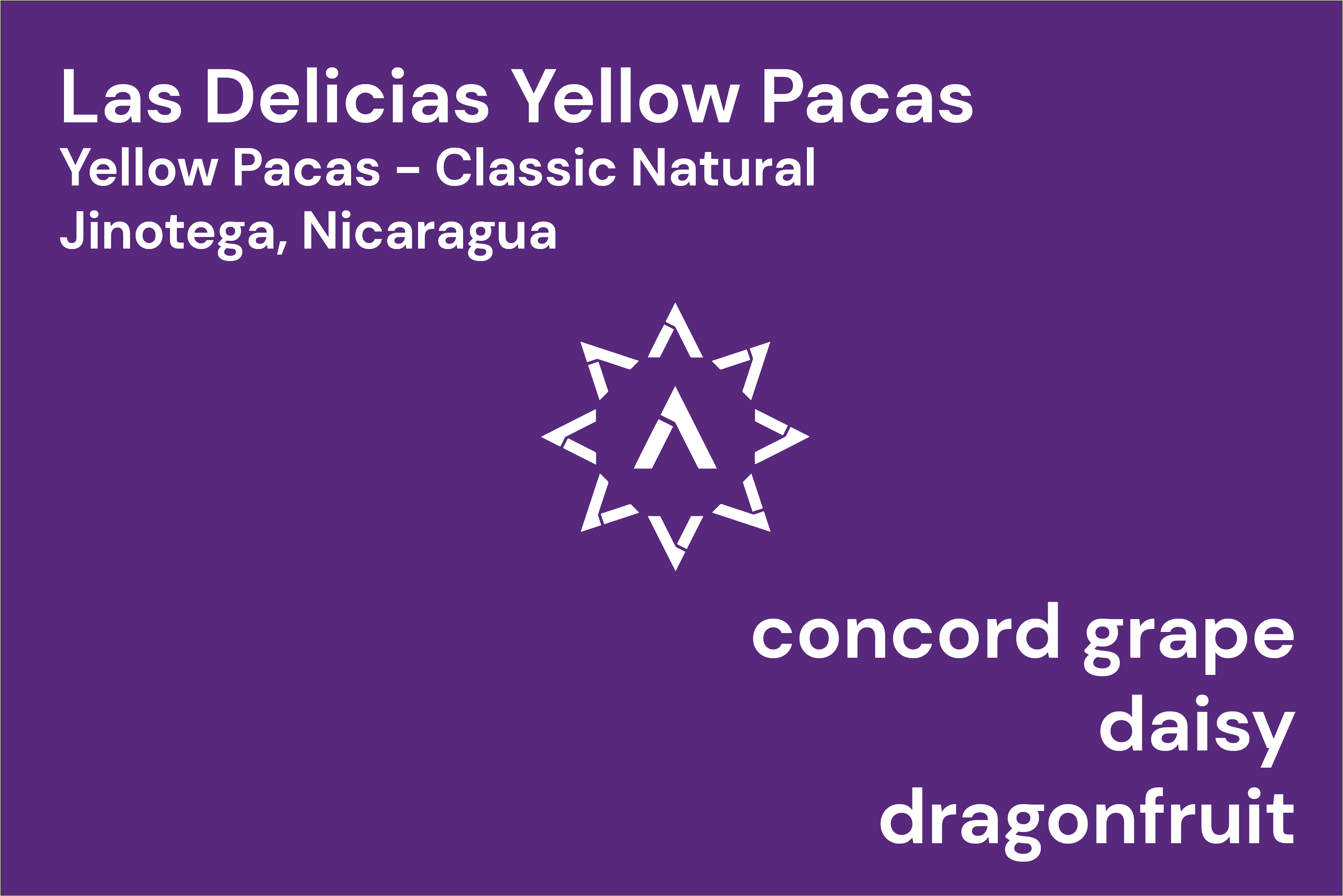 Las Delicias Yellow Pacas